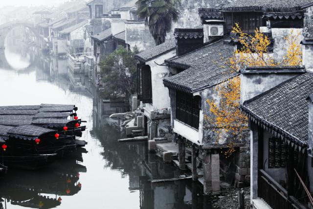 董卿的素颜挺真实,印花上衣配红色迷笛裙,这样的穿搭好看吗?-极速解答,获取准确答案的问答网站